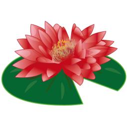 Sticker Nénuphar en fleur