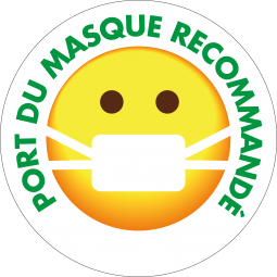 Sticker Smiley Masque...