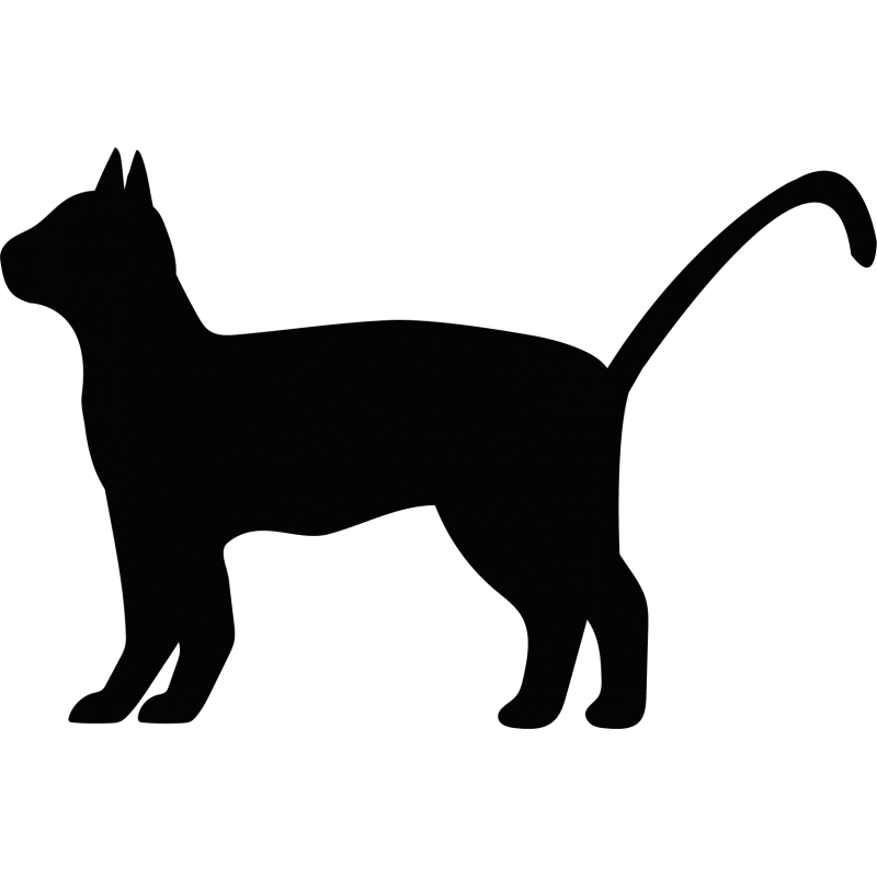 Sticker Fluorescent Silhouette De Chat Decoration Adhesive Feline Fluo