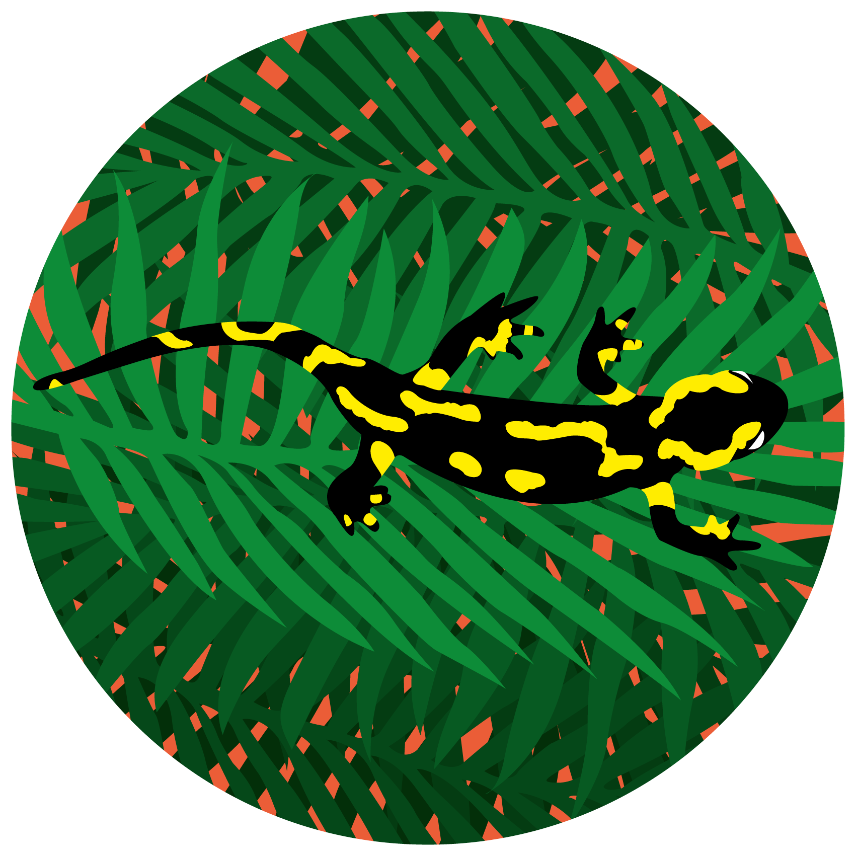 Sticker Salamandre sur feuillage D co adh sive 